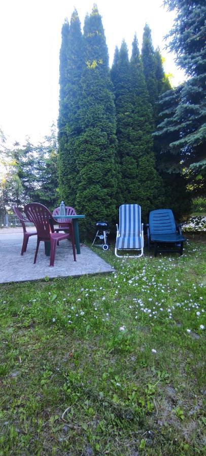 Apartamenty Z Ogrodem Nr 1 Studio Мронгово Экстерьер фото
